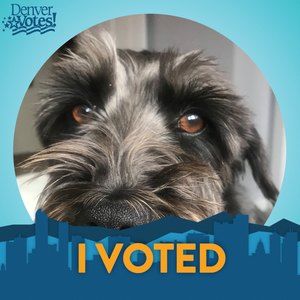 Meet your Posher, Fran